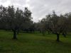 Villa indipendente