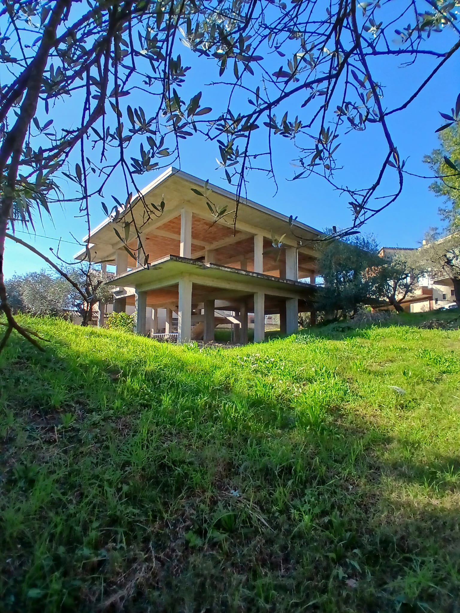 cemento armato